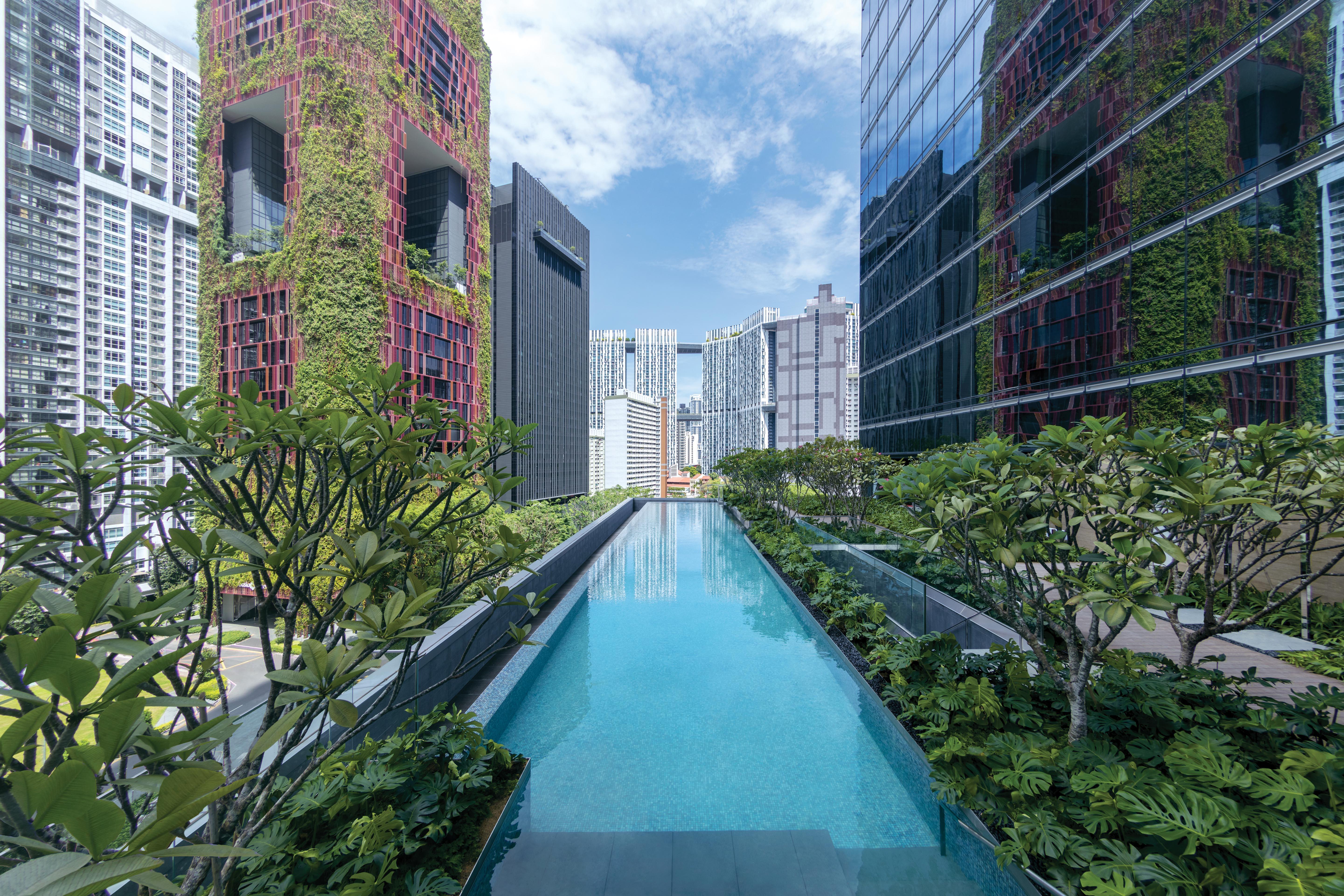 Sofitel Singapore City Centre Esterno foto